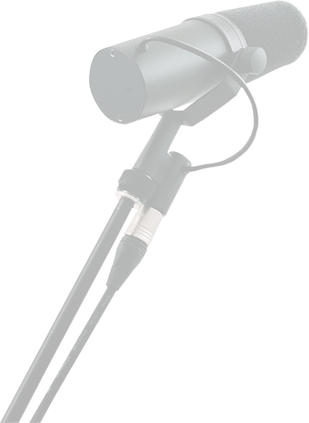 Microphone Image