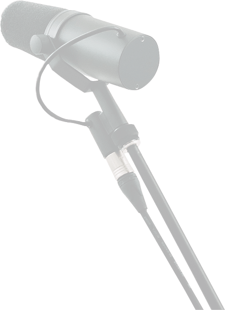 Microphone Image